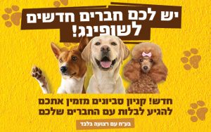 מותר לבע"ח בעלי רצועה להיכנס לקניון סביונים
